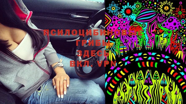 прущие грибы Белоозёрский