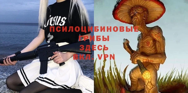 mdpv Белокуриха