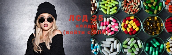 ПСИЛОЦИБИНОВЫЕ ГРИБЫ Балахна